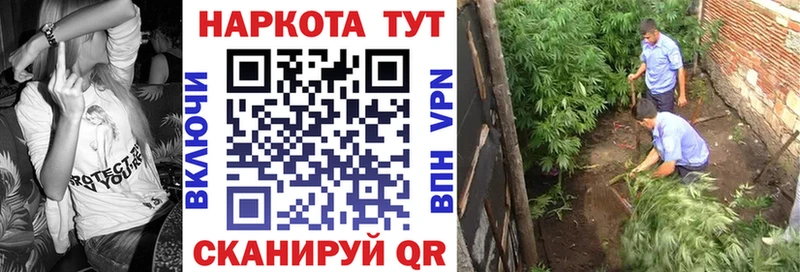Бошки Шишки Сортавала