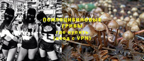 ешки Аркадак