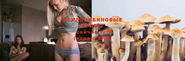 стафф Переславль-Залесский