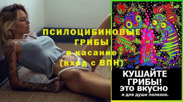 ешки Аркадак