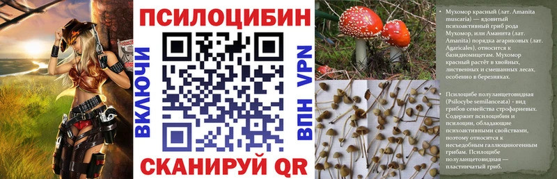 наркошоп  Сортавала  Галлюциногенные грибы Psilocybine cubensis 